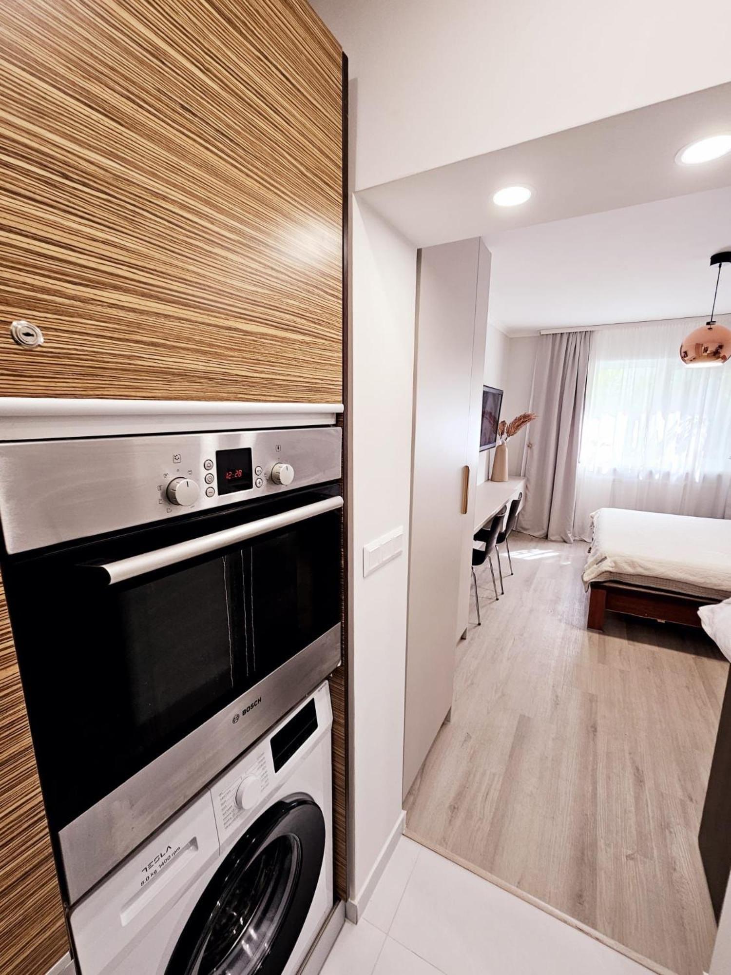 Monique'S Apartment 3 Τιμισοάρα Εξωτερικό φωτογραφία